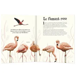 Book for the illustrated anthology of fascinating animals Auzou image-2