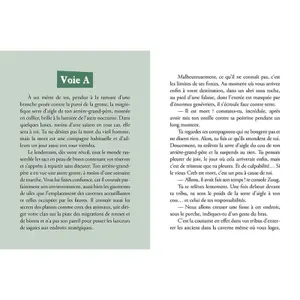 Book for become the hero the flint challenge Auzou image-1