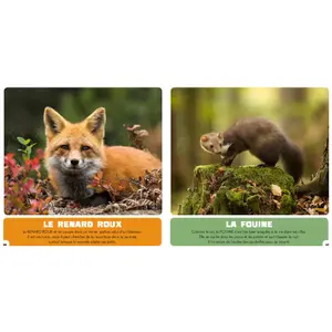 Book for my first pet book nocturnal animals Auzou image-1