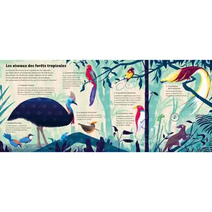 Book for the world of birds Auzou image-2