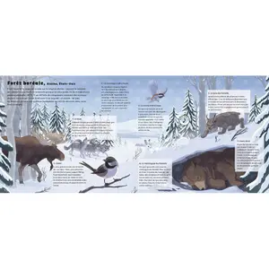 Book for the forest world Auzou image-1