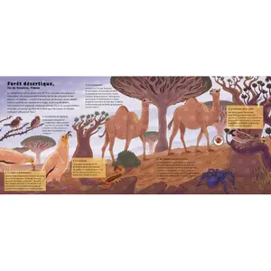 Book for the forest world Auzou image-2