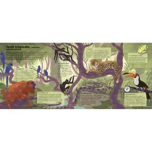 Book for the forest world Auzou image-3