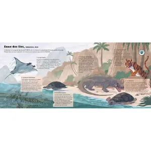 Book for the ocean world Auzou image-1