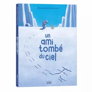 Book for a friend who fell from the sky Auzou image-0