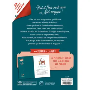 Book for my advent novel the mysterious reindeer Auzou image-1