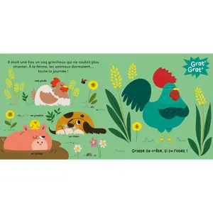 Book for grat' grat' histoire à gratouiller la fête à la ferme Auzou image-1