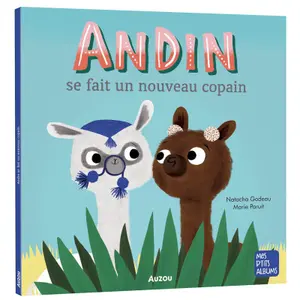 Book for andin makes a new friend Auzou image-0