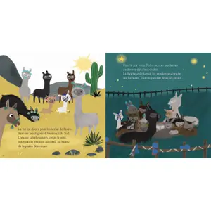 Book for andin makes a new friend Auzou image-1