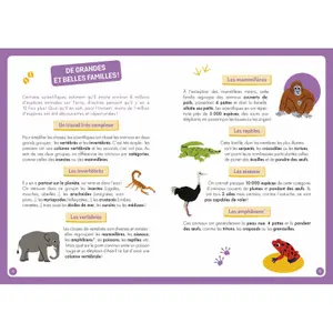 Book for discovering the world's animals Auzou image-1