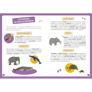 Book for discovering the world's animals Auzou image-2