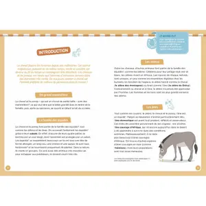 Book for discovering horses Auzou image-1