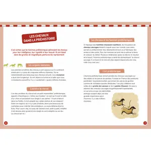 Book for discovering horses Auzou image-2