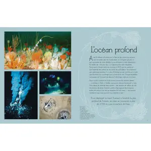 Book for the illustrated anthology of the aquatic world Auzou image-1