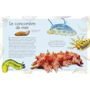 Book for the illustrated anthology of the aquatic world Auzou image-2