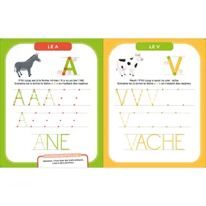 Books for my erasable activities p'tit loup letters sticks Auzou image-2