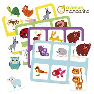 Lotto Avenue Mandarine Animaux Familiers image-1