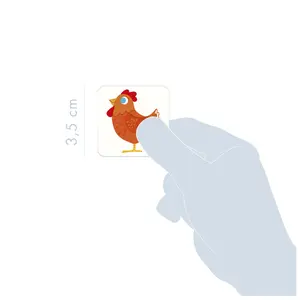 Lotto Avenue Mandarine Animaux Familiers image-2