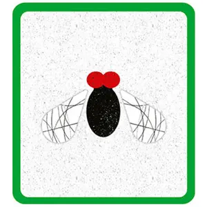 Educational game Avenue Mandarine Anigram image-3