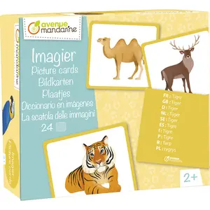 Bilderbuch Avenue Mandarine Animaux Sauvages image-0