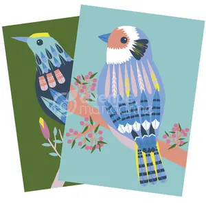 Creative box cutting and collage birds Avenue Mandarine image-1