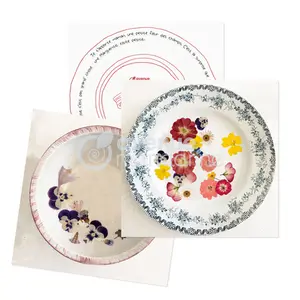 Creative box flower press and postcards to decorate Avenue Mandarine image-1