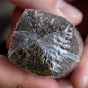 Solid transfer PVA bag Avid image-2