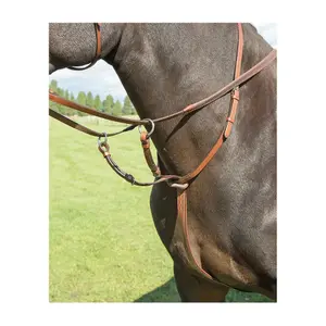 Racehorse martingale Avignon image-0