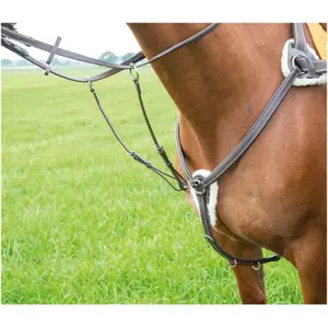 Vijfpunts teugels voor paard Avignon image-0