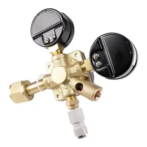 Traitement de l'eau Detendeur Co2 BT10K AVT OsmÔ Bulle image-3