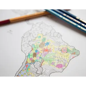 Carte du monde Awesome Maps image-4