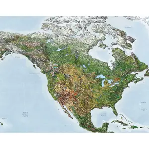 Carte du monde Awesome Maps image-1
