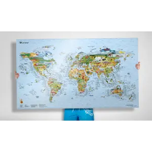 Carte du monde Awesome Maps Surf Trip