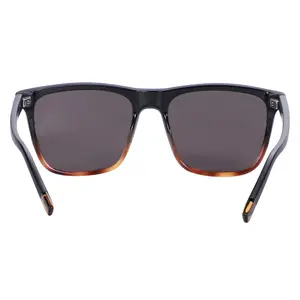 Sunglasses AZR Brad image-4