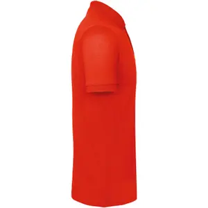Polo B&C Bio image-2