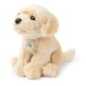 Plush B.T. CHAPS Loulou le Labrador image-1