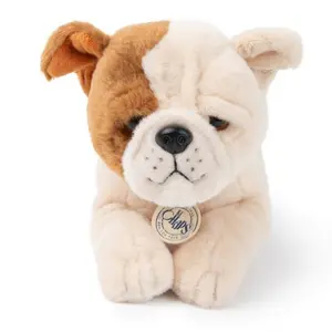 Sitting plush toy in gift box B.T. CHAPS Bertha le Bulldog image-0