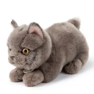 Plush B.T. CHAPS Freddy le Brittish Shorthair image-2