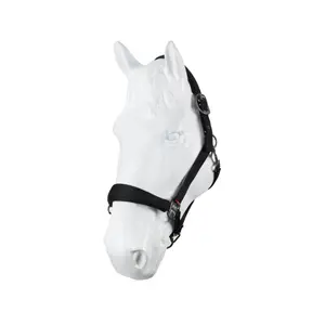 Nylonhalfter B Vertigo High Altitude