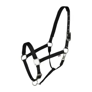 Licol pour cheval B Vertigo Hardwick image-0