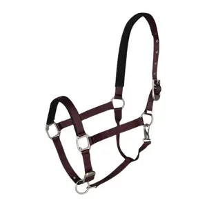 Halter for horse B Vertigo Hardwick image-0