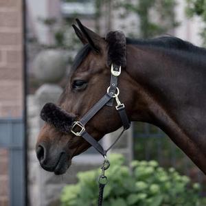 Licol pour cheval avec peau de mouton B Vertigo Laurier image-2