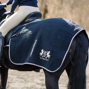 Horse rugs B Vertigo Concord