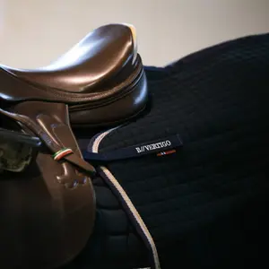 Horse rugs B Vertigo Concord image-4