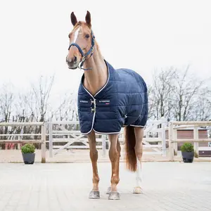 Stable Blanket  B Vertigo Corey 250 g image-1