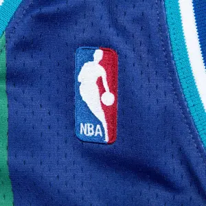 Nba jersey Charlotte Hornets Larry Johnson image-3