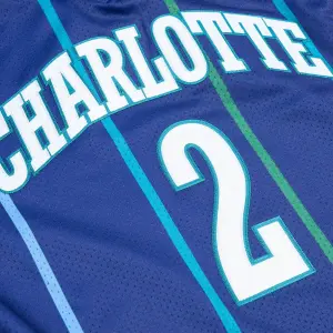 Nba jersey Charlotte Hornets Larry Johnson image-4