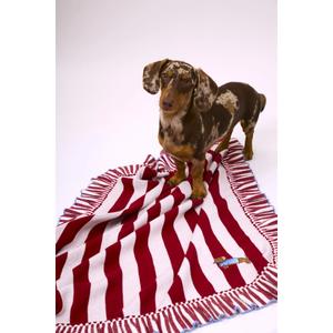 Baby Blanket Baby Bites image-3