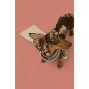 Szalik dziecięcy Baby Bites image-4