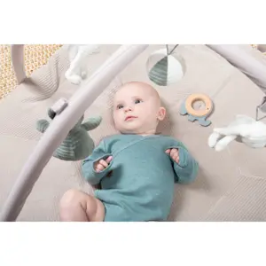 Χαλί παιχνιδιού για μωρά Baby's Only Sense image-2